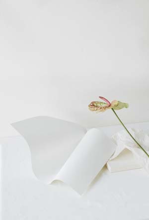 marbella-private-tutor